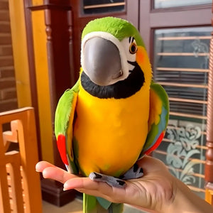 🦜Realistinen papukaijakumppani