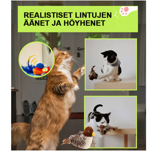 Simuloitu Bird Lemmikkilelu