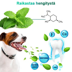 Lemmikkieläinten hampaiden puhdistuskynä (osta 1, saat 1 ilmaiseksi)
